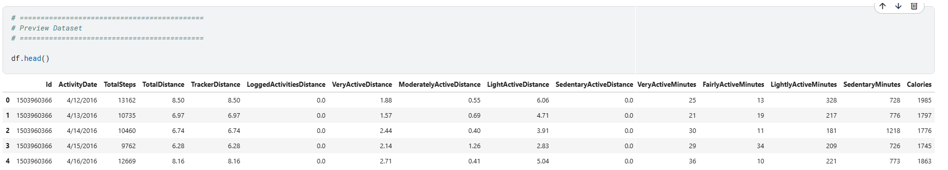 Dataset preview